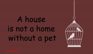house-is-not-a-home-without-a-pet-animal-picture-quote.jpg