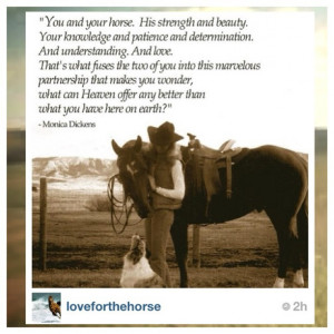 Horse Quotes for Instagram