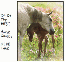 Found on horsemoms.com