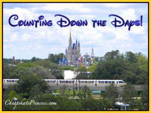 counting down the days until my next Disney World vacation!