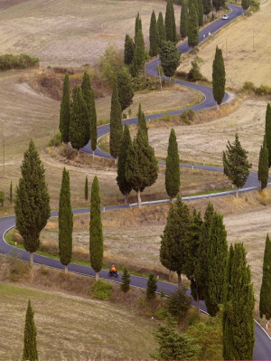 Long and Winding Road, Tuscany