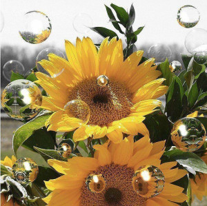 Gratitude Is The Essence Of Happiness http://TheAttitudeOfGratitude ...