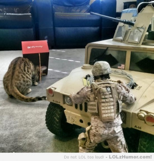 Funny Memes Marines capture leopard with the old box and stick trap.