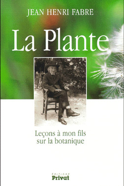 Art Cin Philo Les...