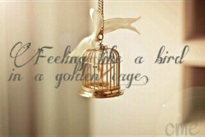 Feeling like a bird in a golden cage.