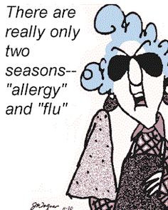 For allergy sufferers, sometimes it may feel like this! But it doesn't ...