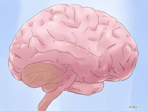 Understand Love As a Chemical Reaction Step 3.jpg