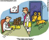 funny doctor cartoon medical lab results lab retriever doctor medical ...