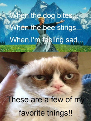 Grumpy Cat Quotes For More