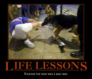 have been working on motivational food obedience with my Stuka sons ...