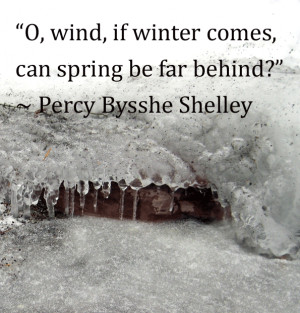 Winter inspirational quote: “…can spring be far behind?”
