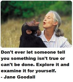 Jane Goodall Quotes