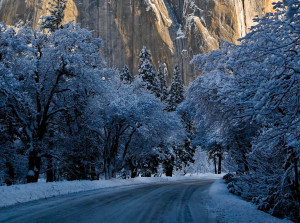 Order Road to El Capitan, Yosemite 8.5 x 11 Print @ $20.00 Qty :