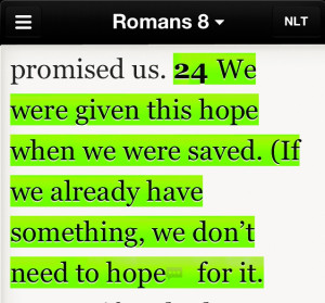 Courtesy Liveluvcreate Com