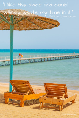 Sand Dollar Art and our most Popular Pinterest Beach Sayings