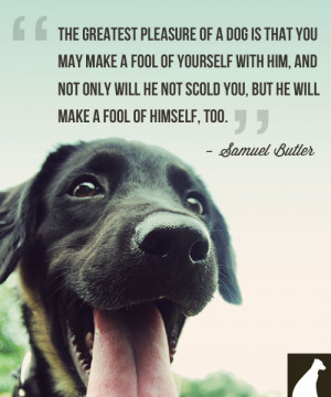 Happy Humans Dog Quotes. QuotesGram