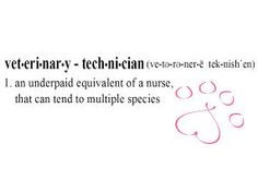 Veterinary Technician: An underpaid equivalent of a nurse, that can ...