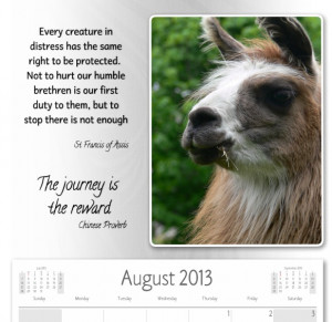 To grab a copy of the Llama Sanctuary, picture calendar, just FOLLOW ...