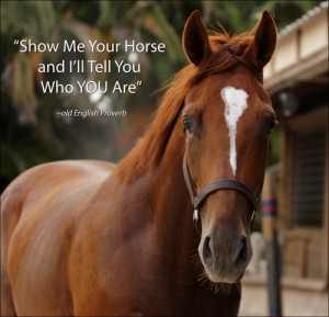 Horse Quotes About Life