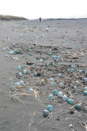 Beachcombing | Beachcombing | Alaska Beachcombing | Alaskas River Wild ...