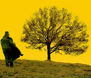 Success Is Never A Perfect Straight Line