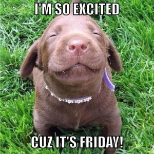 Leave a Reply Cancel Reply