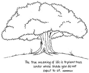 ... to plant trees under whose shade you do not expect to sit life quote