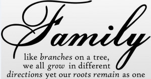 quote wall decal - removable wall sticker - Family like branches wall ...