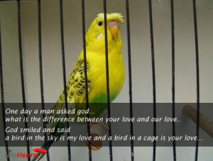... said A bird in the sky is my love and a bird in a cage is your love