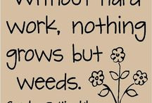 Quotes / by Red Hen Turf Farm