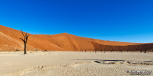 Panoramic Photo Print...