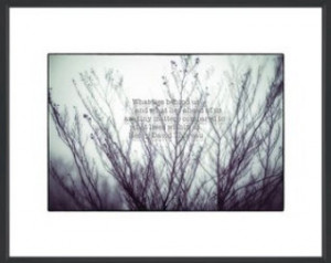 Winter Fog and Branches, Thoreau Qu ote, Large, Print, Poster, Digital ...