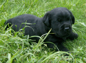 Funny Quotes Contact Dmca