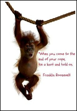 encouragement quote image - Holding On...
