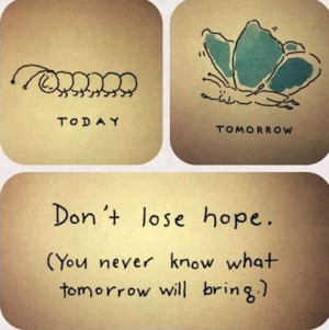 dont lose hope life picture quote