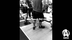 Powerlifting Wallpaper Quotes World record bench press
