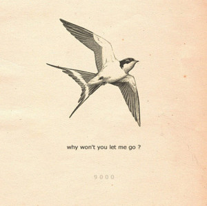 swallow,swallow,tattoo,bird,illustration,ispiration ...