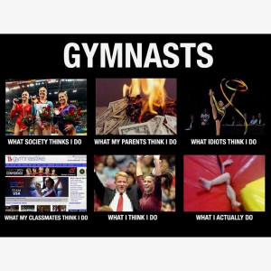 Gymnastike's What I think I do.....