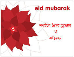 funniest happy eid day quote cards, funny happy eid day quote cards