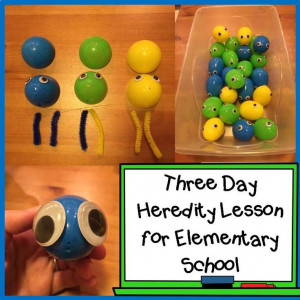Three Day Lesson Plan! Use plastic easter eggs, googly eyes, and pipe ...