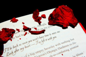 twilight quotes from the book