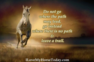 Do not go where the path may lead, go instead where there is no path ...