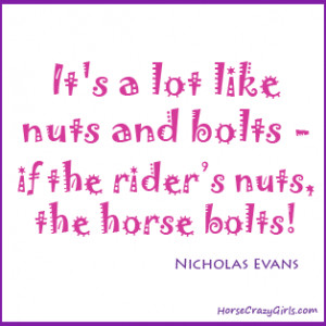 It's a lot like nuts and bolts - if the rider's nuts, the horse bolts!