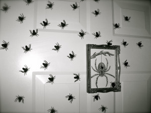 To really flip the stomach of people in your home, move the spider ...
