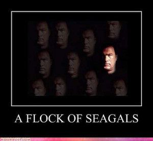 Click image for larger versionName:funny-celebrity-pictures-a-flock-of ...