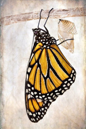 ... change a situation we are challenged to change ourselves viktor frankl