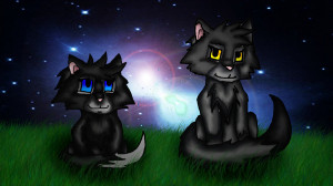 Medicine Cat And Apprentice