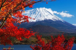 Japan beautiful scenery 240x320 free Screensaver wallpaper