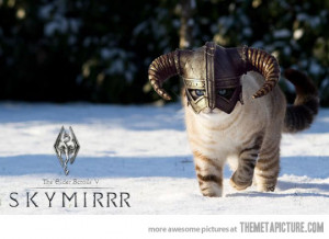 funny cat source http efunnyphotos com funny cat helmet medieval ...