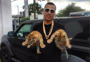 French Montana Gets High, Purchases Baby Tigers